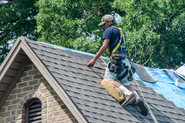 Best Roof Gutter Cleaning  in Weston, WI
